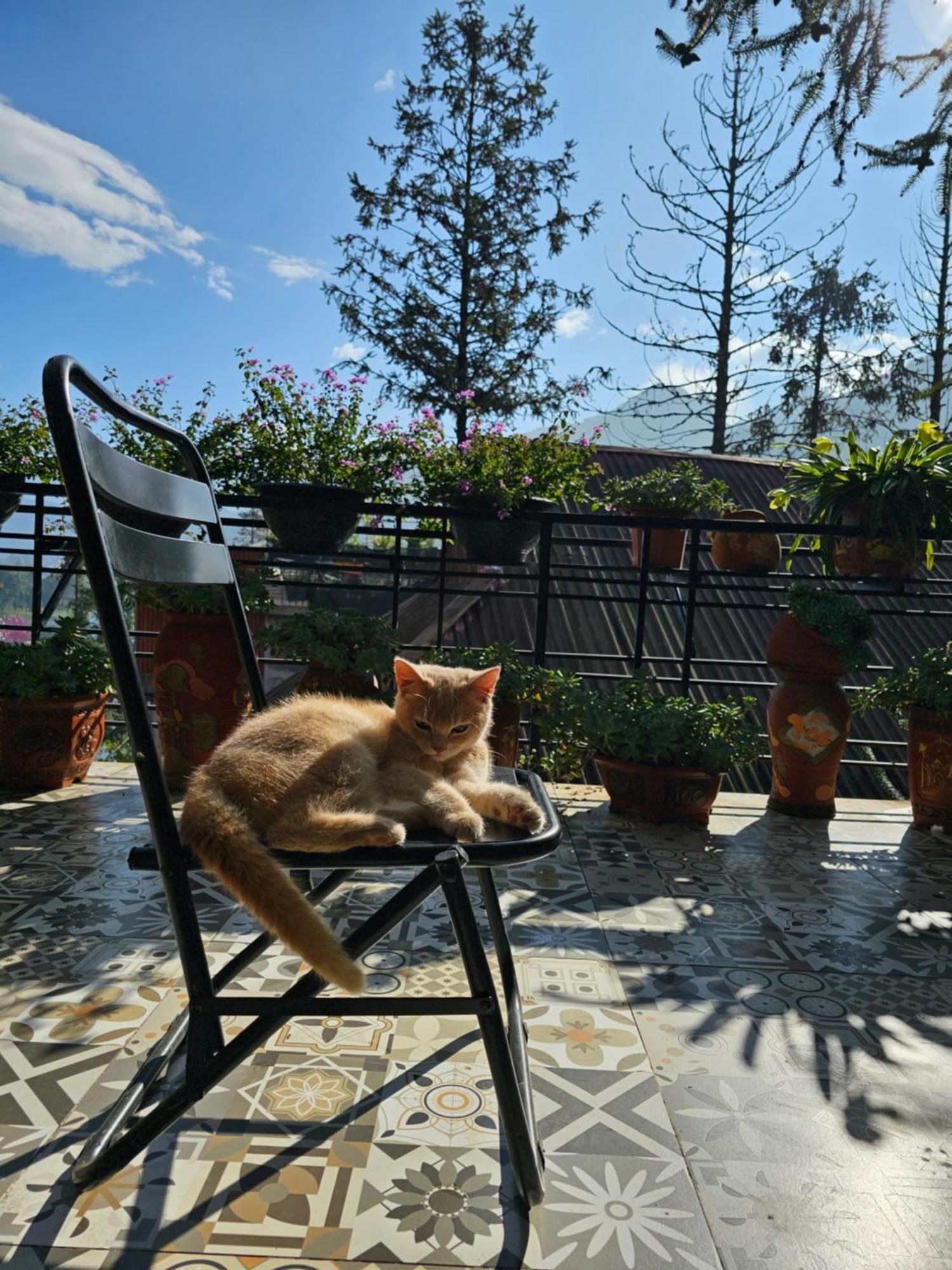 Dang Khoa Garden Inn Homestay Sa Pa Extérieur photo