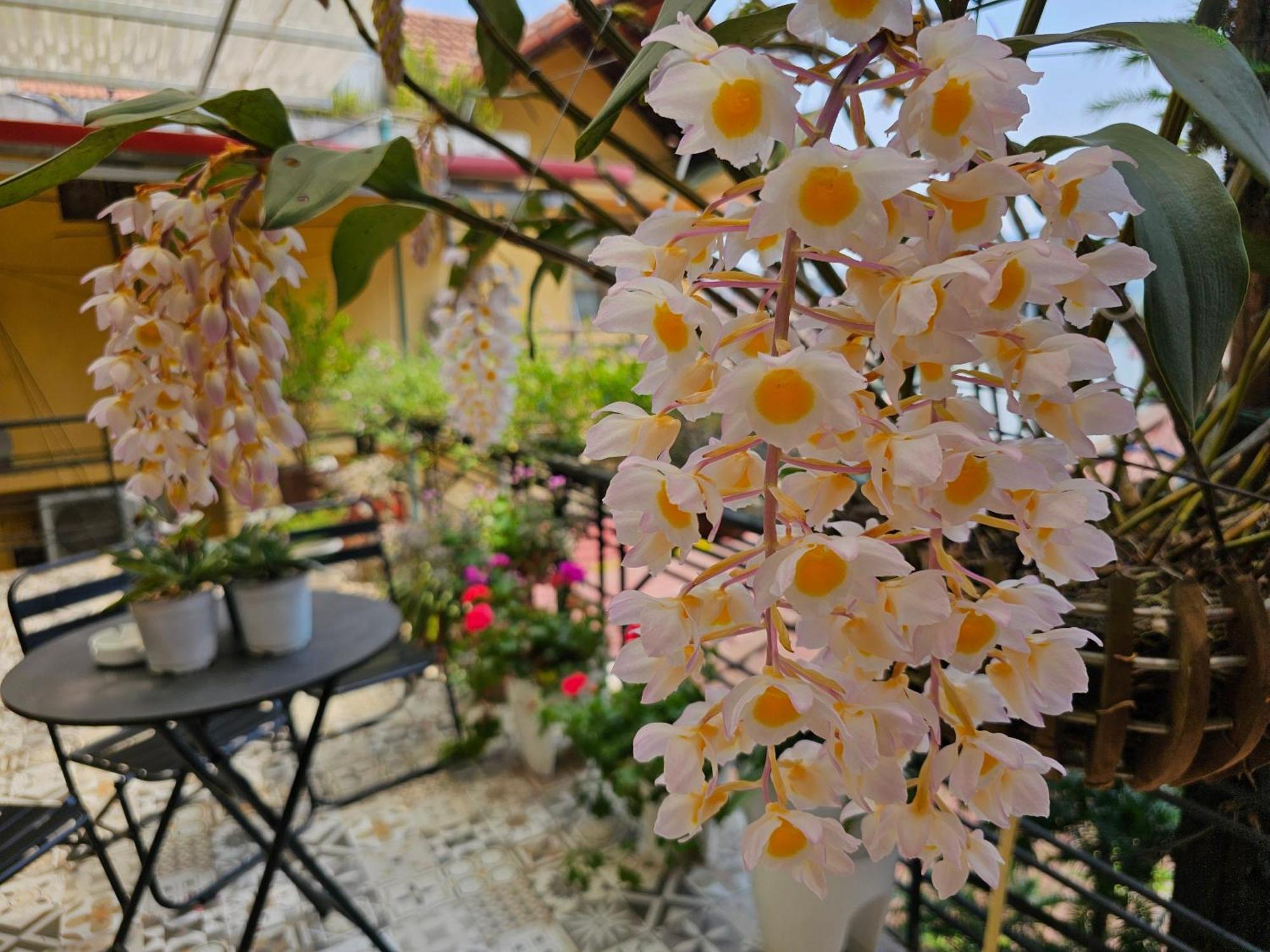 Dang Khoa Garden Inn Homestay Sa Pa Extérieur photo