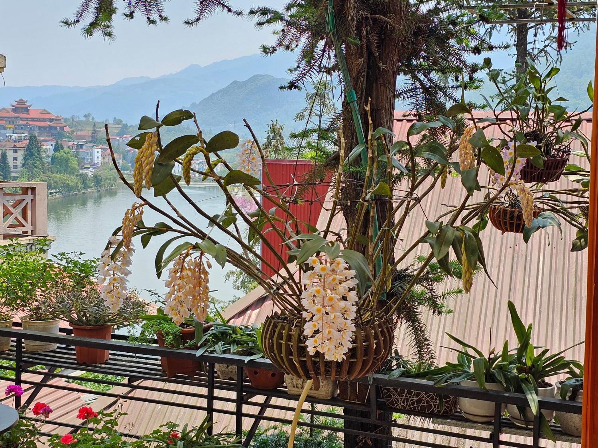 Dang Khoa Garden Inn Homestay Sa Pa Extérieur photo