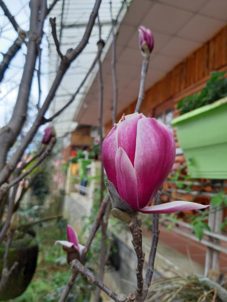 Dang Khoa Garden Inn Homestay Sa Pa Extérieur photo